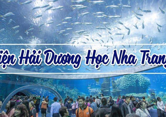 Viện Hải dương học Nha Trang có gì?